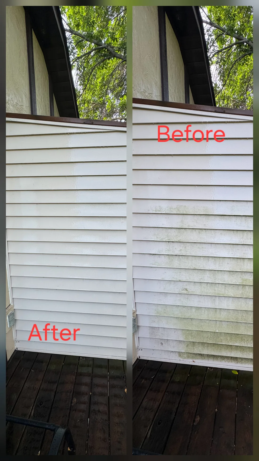Before and after soft washing vinyl siding on a Twin Cities home, with green algae removed